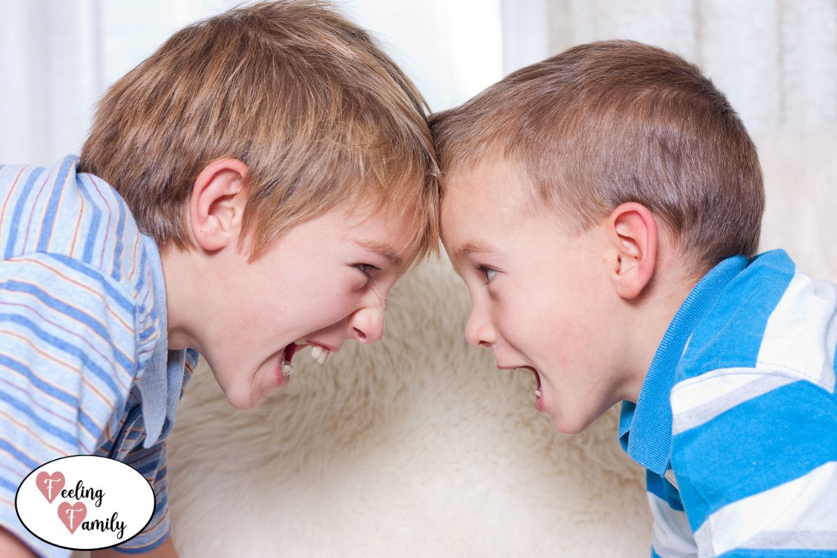 Mehr über den Artikel erfahren “Hilfe, meine Kinder streiten!”